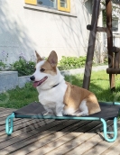 Summer Pet Dog Study Military Beds breathable cool dog bed Outdoor dog elevated bed Teslin large and medium -sized dogs