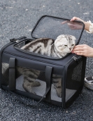 Pet bag out of the portable bag can be folded and breathable cat bag large capacity. Two small cats out of the car dog bag