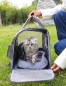 Cat bag out bag Portable small dog bag cat outdoor travel breathable shoulder hand -handed pet bag