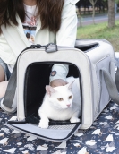 Cat bag out bag can be folded and folded. Pet pet handbags are littering cats out of the way