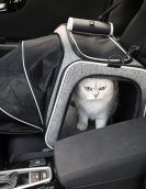 Cat bag can be taken out of breathable pet bags to fold the shoulder -handed pet expansion package