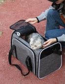 Cat bag can be taken out of breathable pet bags to fold the shoulder -handed pet expansion package