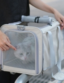 Pet bag out of the portable bag, breathable, foldable hand -mounted cat bag large capacity, two small cats out bag