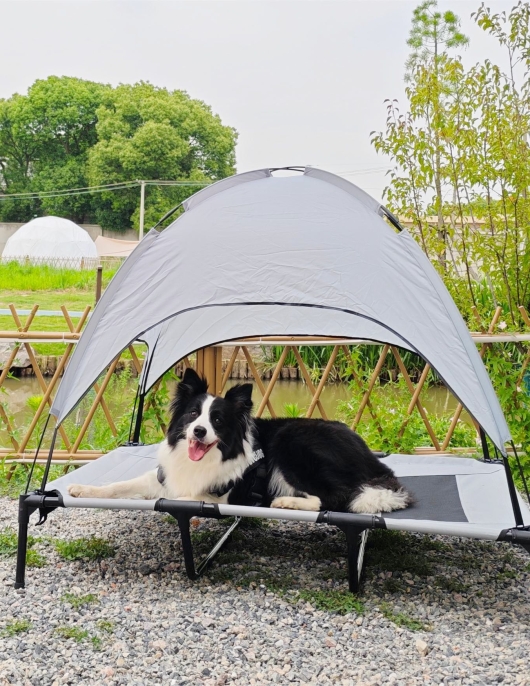 Canpu pet outdoor sunny pet bed dog marching bed is easy to store elevated dog beds