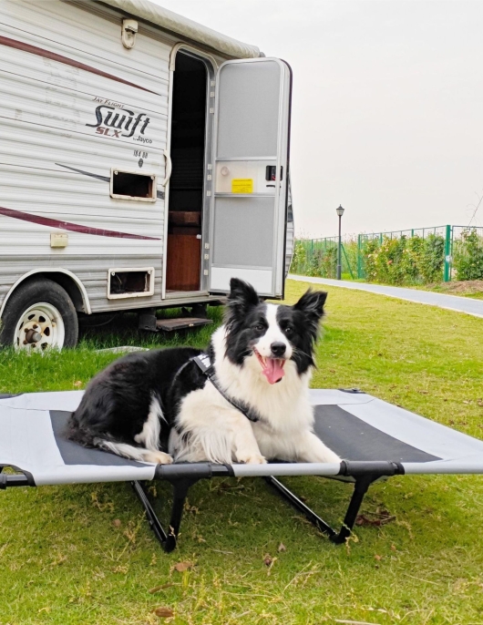 Summer breathable Pet bed Large dog -off dog bed can be removed from pet bed dogs