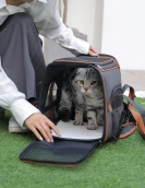 Cat bag out of bags, take a small dog bag, breathable can be folded, cat shoulder car car, hand -lifted pet bag