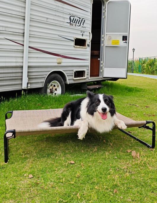 Summer demolition of dog nest breathable large dogs and dog marching bed iron elevated pets