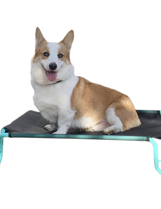 Summer indoor household waterproof pet bed in large dogs from the ground dog bed dog bed