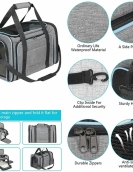 Pet packing can fold the folding hand -randable cat bag out of the bag to carry the scalable outdoor travel small dog bag