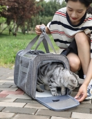 Small dog bag breathable handbags Out bags Portable, folding out, car bag cat cage