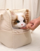 Fashionable Cat Buns Handbags and Dog Bags Clamping Crossing Pet Backpack