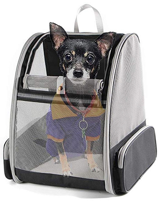 Cat backpack breathable can be foldable Pet backpack outdoor travel cat bag out bag to carry small dog bag