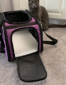 Pet out -of -the -box bag can be folded and folded car bag hand -lifted cat bag large capacity