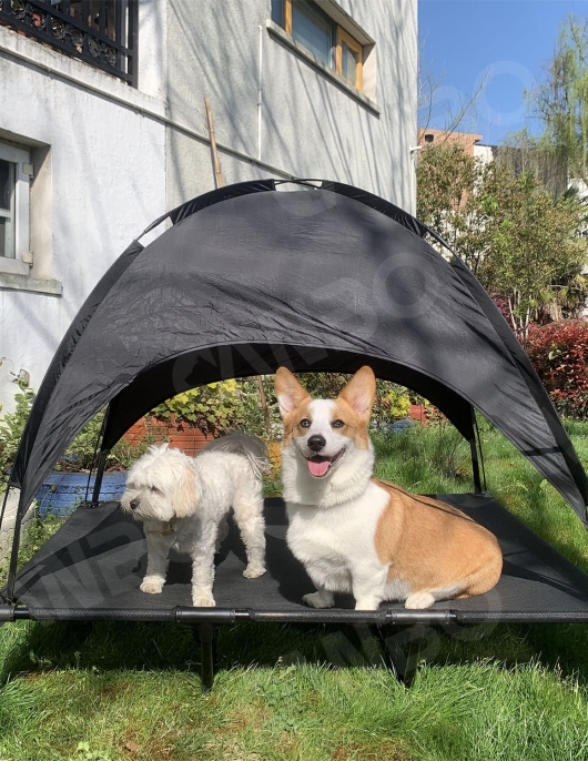 Summer single -layer breathable tent dog bed with ceiling and outdoor elevated high -end heavy dogs