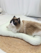 Summer cat nest half -ice mat, dog nest, four seasons universal teddy small and medium -sized dog autumn and winter dog mattress pet supplies