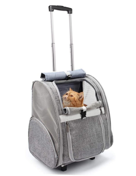 Pet lever box Portable breathable can fold the cat backpack dual -use tie cat bag large capacity